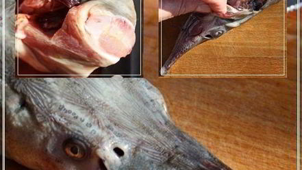 Рецепт ухи по-царски из петуха