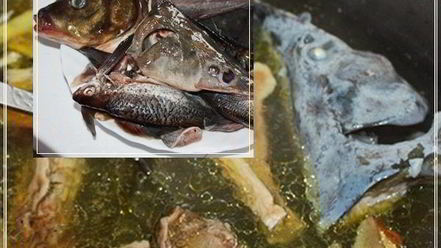 Рецепт ухи по-царски из петуха