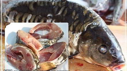 Рецепт ухи по-царски из петуха