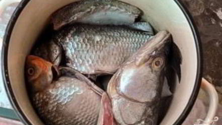 Рецепт ухи рыбацкой