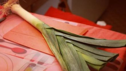 Рецепт ухи со сливками по-фински