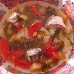 Рецепт Ухи судачья по-ростовски