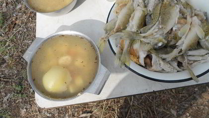 Рецепт Ухи Возле реки