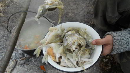 Рецепт ухи возле реки