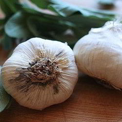 Рецепт Зимнего супа с чесноком и шалфеем