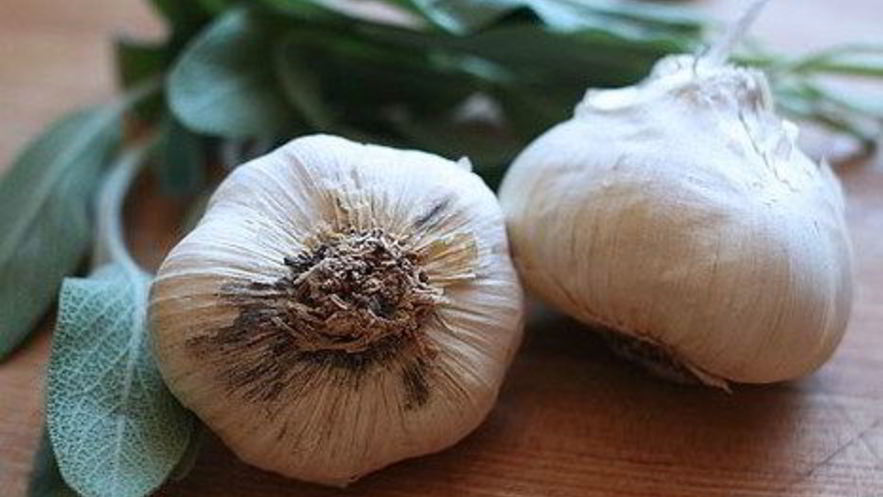 Рецепт зимнего супа с чесноком и шалфеем