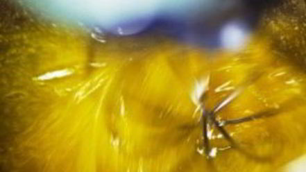 Рецепт блинчиков на кефире