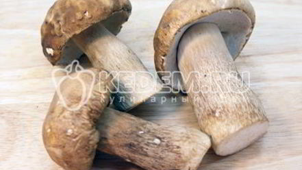 Рецепт фаршированных блинов с сыром и грибами