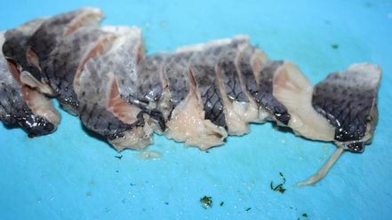 Рецепт кабачковых блинчиков с селедочкой