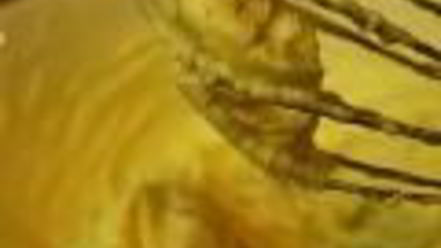 Рецепт булочек с корицей