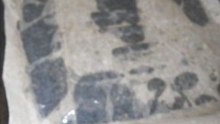 Рецепт самых вкусных чесночных булочек