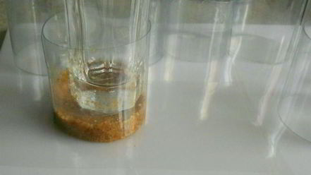 Рецепт тройных ягодных чизкейков