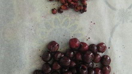 Рецепт галет с черешней и шоколадом