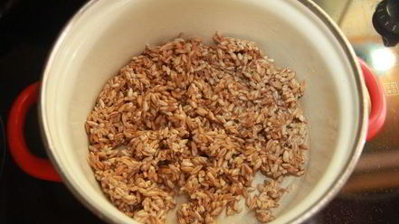 Рецепт хлеба с полбой и цукатами