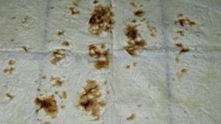 Рецепт лаваша с консервой