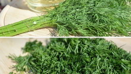 Рецепт чалпака — узбекских лепешек