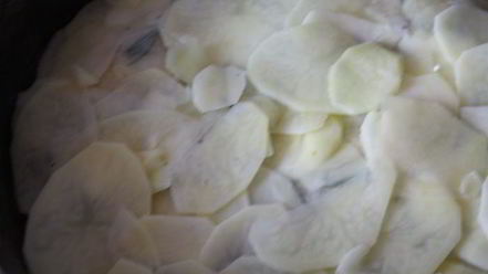 Рецепт картофельной лепешки