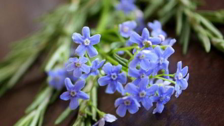 Рецепт картофельной лепешки