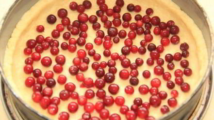 Рецепт песочно-сметанного пирог с клюквой