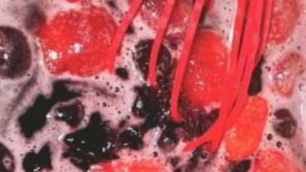 Рецепт пирога из замороженных ягод