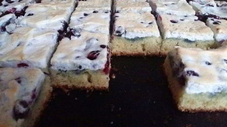 Рецепт пирога с кислыми ягодами