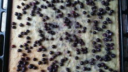 Рецепт пирога с кислыми ягодами