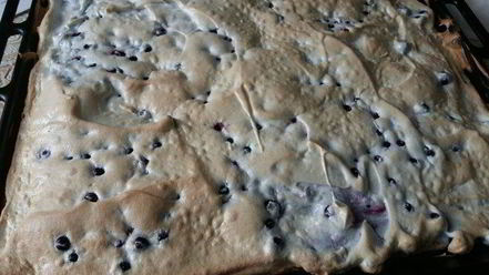 Рецепт пирога с кислыми ягодами