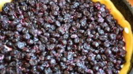 Рецепт пирога с творогом и ягодами