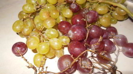 Рецепт пирога с виноградом