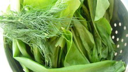 Рецепт пирожков из творожного теста