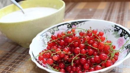 Рецепт пирожков с красной смородиной дрожжевые