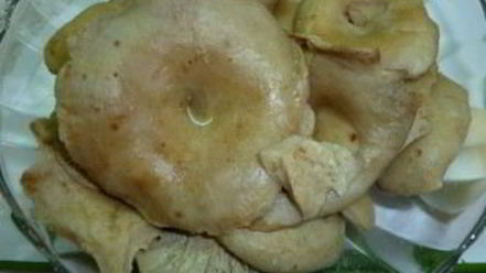 Рецепт пирожков с солеными грибами