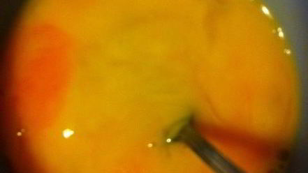 Рецепт брауни с темным пивом и малиной