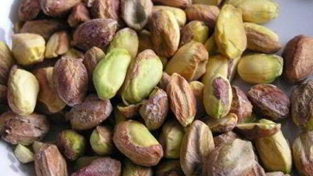 Рецепт фисташкового пирожного с брусничным семифредо