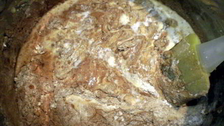 Рецепт пирожного яблока евы