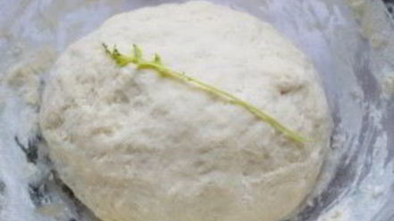 Рецепт пиццы с грибамии и колбасой