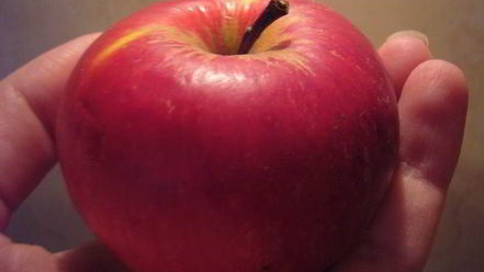 Рецепт пончиков голландских шары