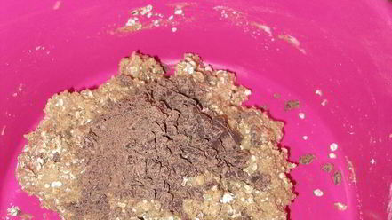 Рецепт коврижек из цельнозерновой муки с овсянкой и шоколадом