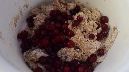 Рецепт пряников с клюквой