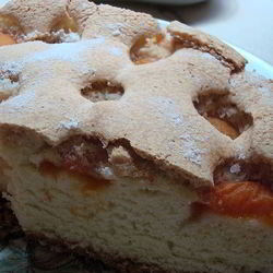 Рецепт Шарлотки с абрикосами