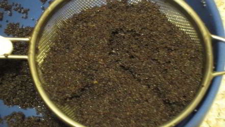 Рецепт штруделя с грушами, изюмом и маком