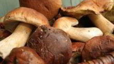 Рецепт штруделя с лесными грибами и сыром