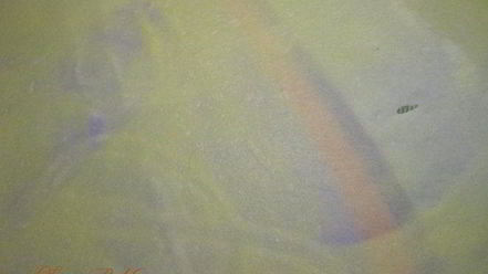 Рецепт штруделя с яблочно-грушевой начинкой