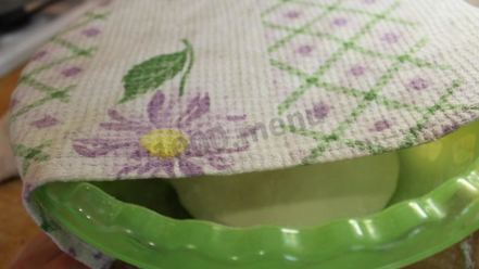 Рецепт дрожжевого теста для ватрушек