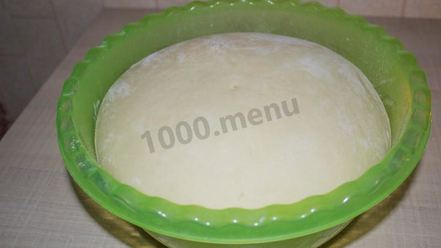 Рецепт дрожжевого теста для ватрушек