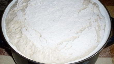Рецепт сдобного дрожжевого теста и булочки