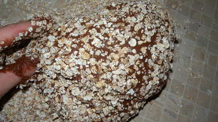 Рецепт шоколадного теста на дрожжах для выпечки