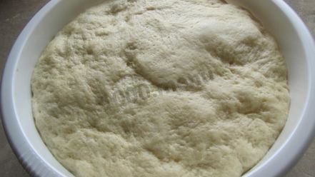 Рецепт теста дрожжевого сдобного для пирожков