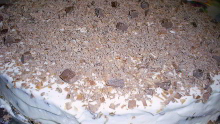 Рецепт швейцарского торта