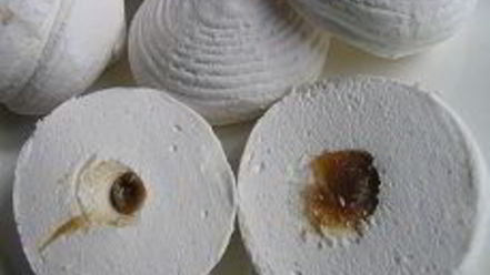 Рецепт торта снежные облака